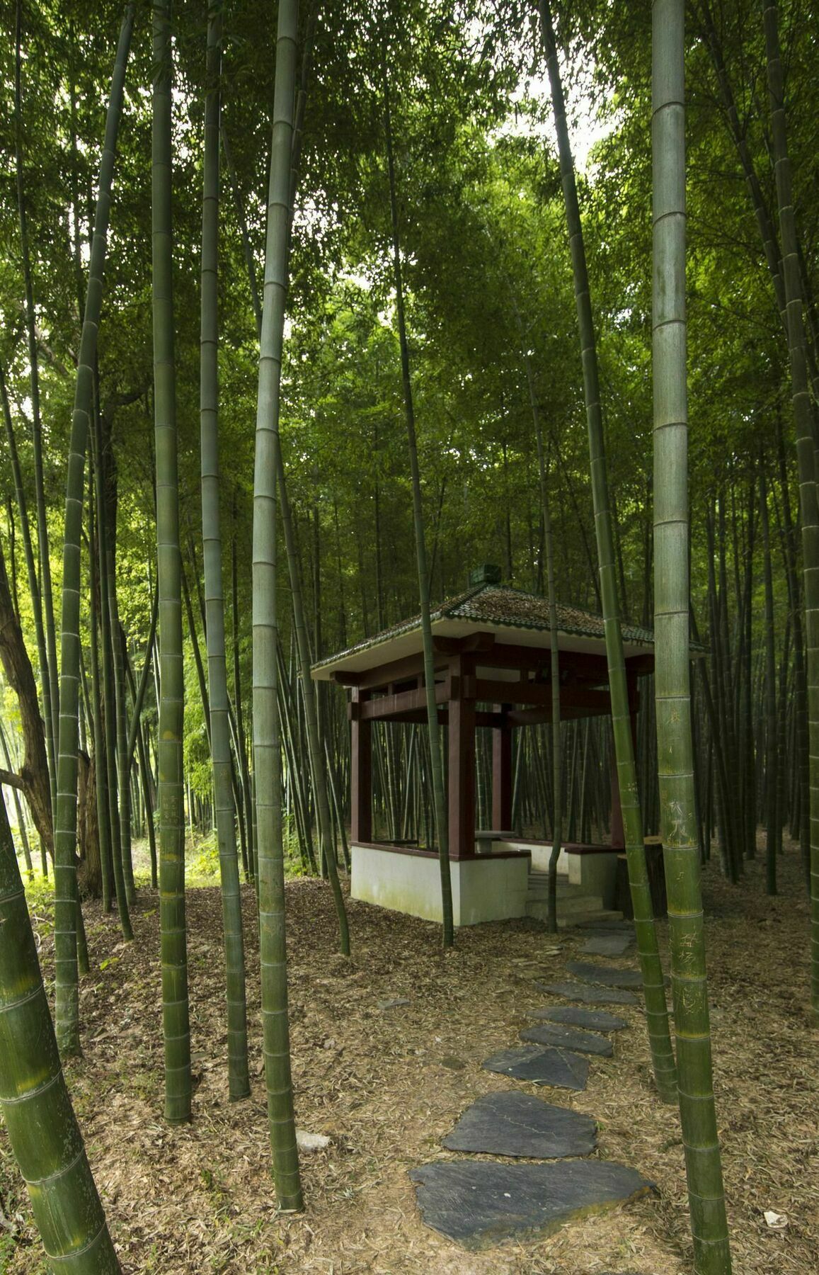 Core Fire Villafound Suzhou  Eksteriør billede